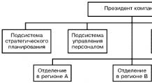 Дивизиональная организация