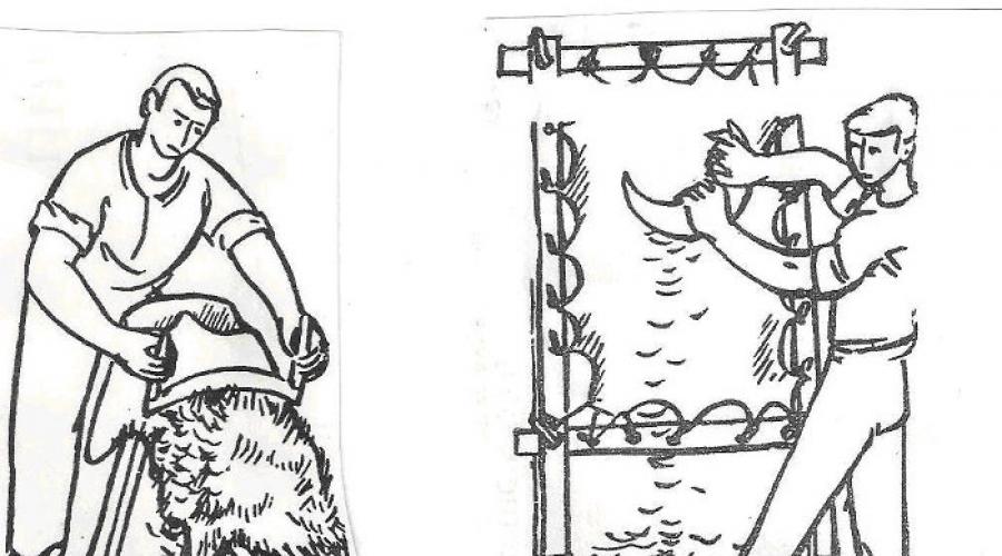 Пергамент история возникновения. Интересные факты из истории книги