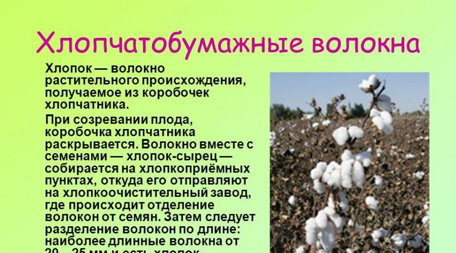 Презентация на тему 